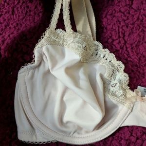 Whimsy lace trimmed underwire bra 32C